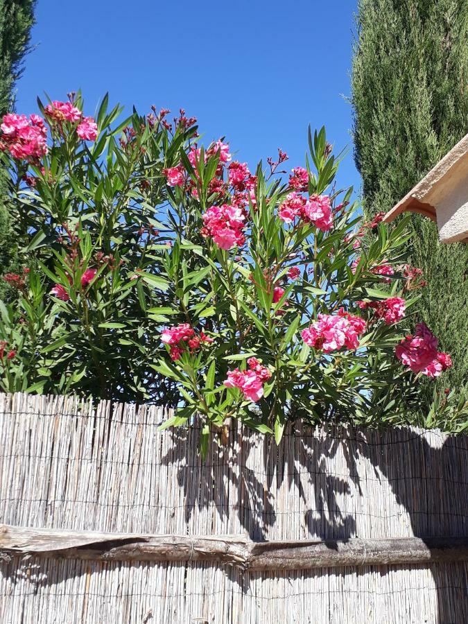 Le Mazet Des Chutes Holiday home Graveson